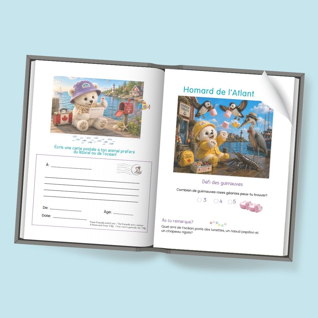 Un livre d’activités pour enfants ouvert ou un carnet de cartes postales composé de deux pages imprimées, présenté sur un fond bleu clair. Les pages comportent des illustrations d’oursons en peluche, du texte en français et de petits espaces d’écriture de style carte postale.